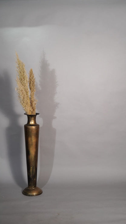 Saree with designer jacket